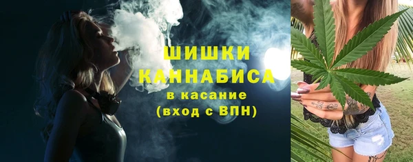 гашик Вяземский