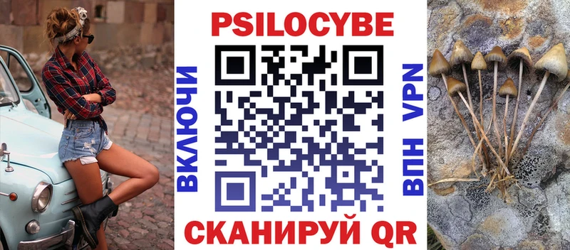 кракен   Нарьян-Мар  Псилоцибиновые грибы Psilocybine cubensis 