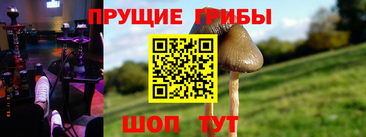 Псилоцибиновые грибы ЛСД  Вход с VPN  Галлюциногенные грибы Psilocybe  Нарьян-Мар 